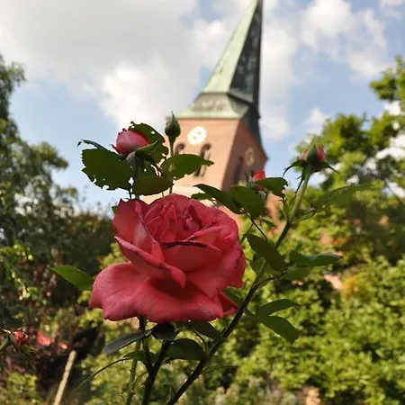 Cramer Πανσιόν 4*