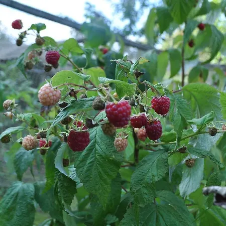 卡拉蒙经济型酒店（客房&早餐） 招待所